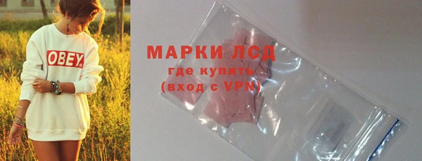 мет Касимов