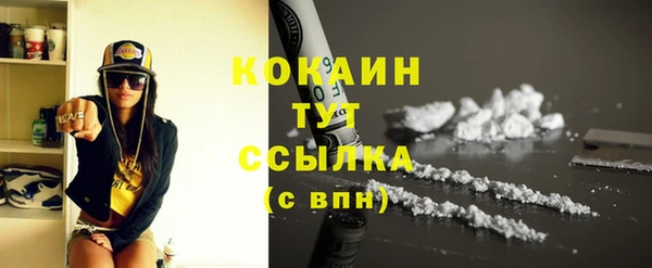 мет Касимов