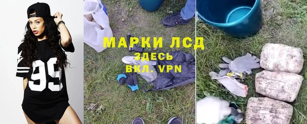 мет Касимов